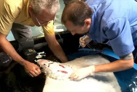 Reportage France 3 Le sauveur de poissons