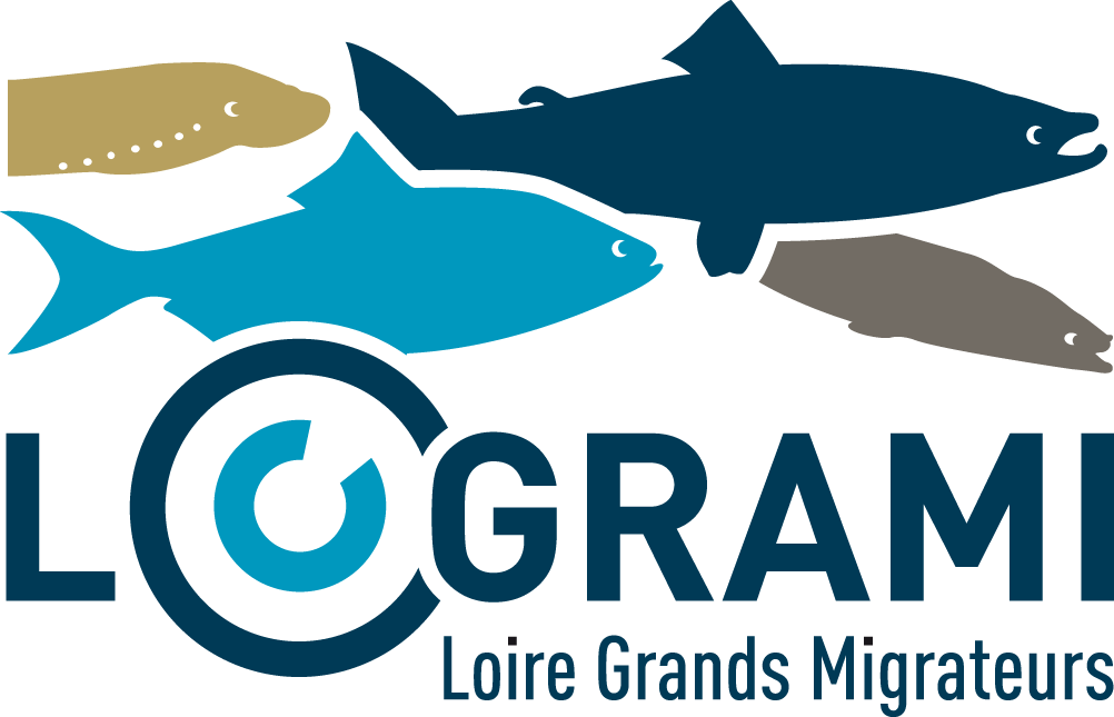LOGRAMI