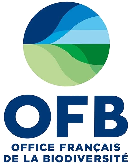 OFB