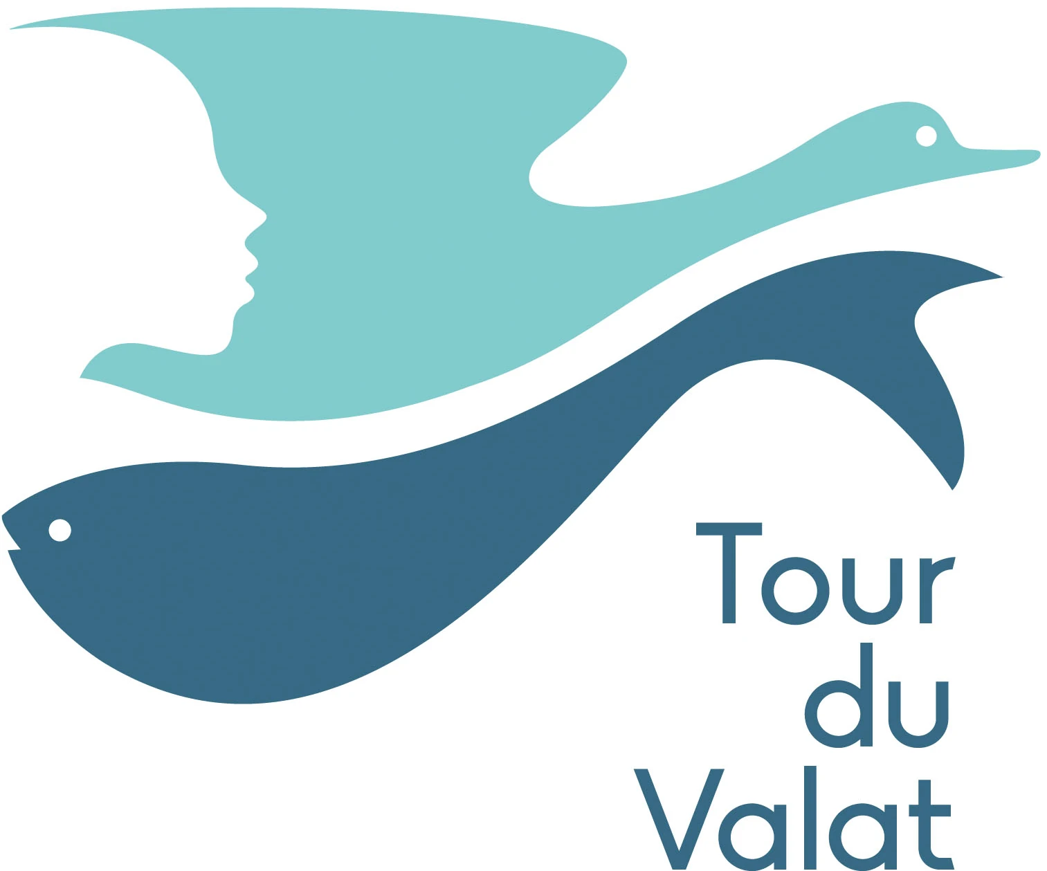 Tour du Valat