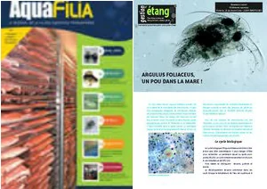 Aquafilia - Argulus foliaceus, un pou dans la mare