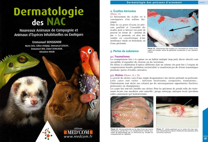 Dermatologie des NAC - Editions MedCom