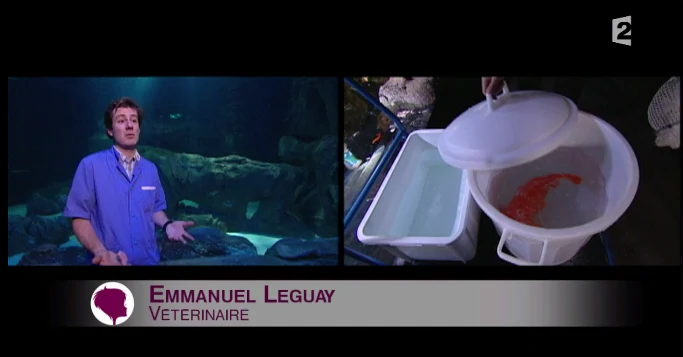 France 2 - C'est au Programme