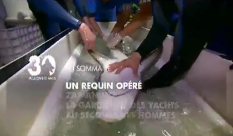 France 3 - 30 Millions d'Amis