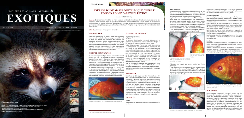 Pratique des Animaux Sauvages & Exotiques - Volume 10.4