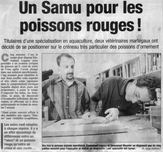 La Provence édition Marseille