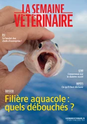 Filière aquacole : quels débouchés pour les vétérinaires