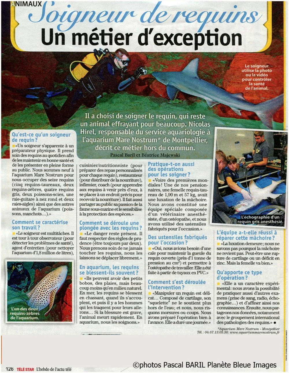 Téléstar