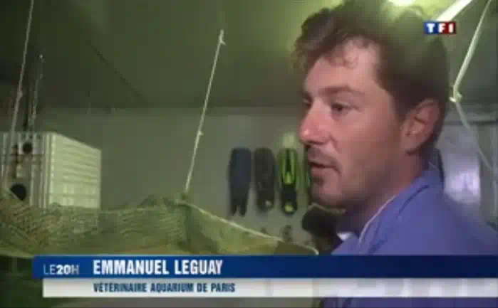 TF1 - Journal de 20h