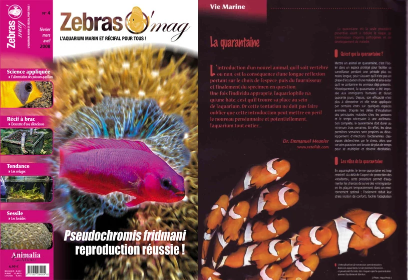 ZebrasO'mag n°04 - La quarantaine