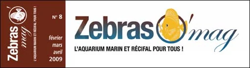 ZebrasO'mag n°08 - Les infestations parasitaires des poissons en aquarium marin